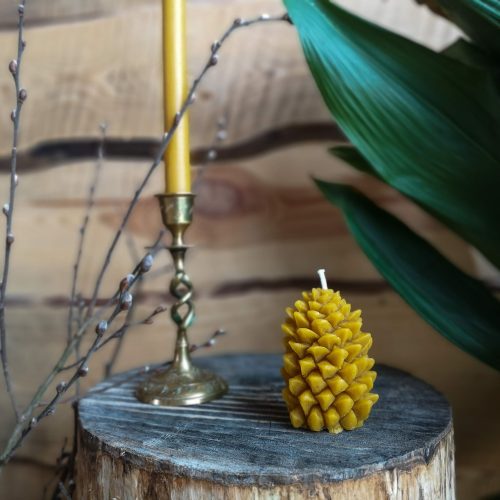 Bičių vaško žvakė “Kankorėžis”