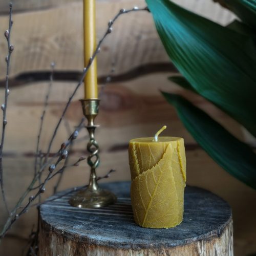 Bičių vaško žvakė “Medžio apsiaustas”